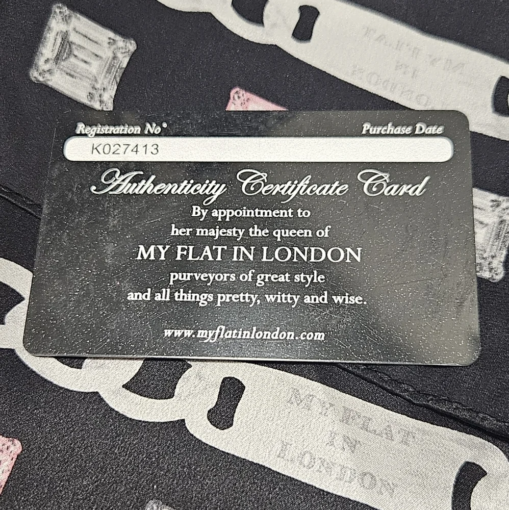 Brighton My Flat in London Leather Satchel, Dust Bag, Scarf, And Authentication